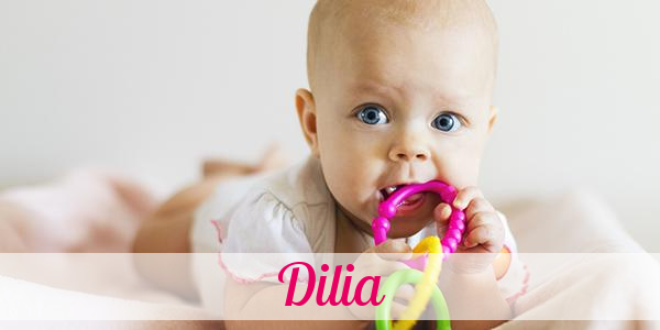 Namensbild von Dilia auf vorname.com