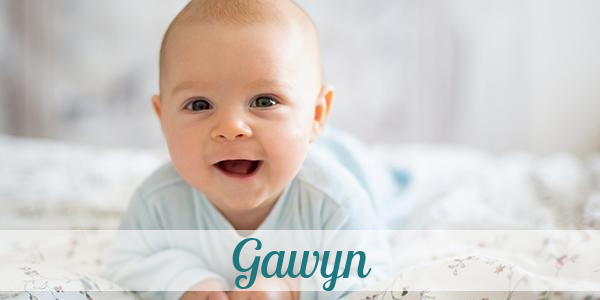Namensbild von Gawyn auf vorname.com