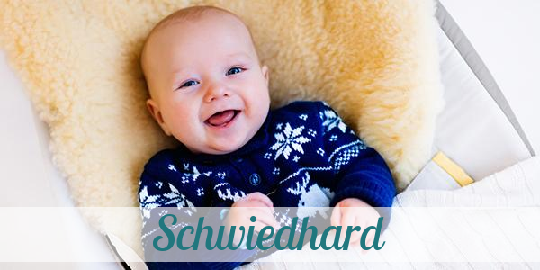 Namensbild von Schwiedhard auf vorname.com