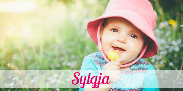 Namensbild von Sylgja auf vorname.com