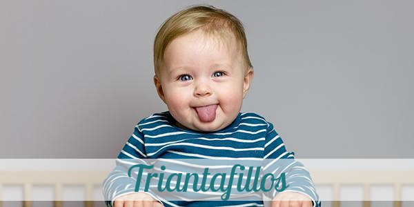 Namensbild von Triantafillos auf vorname.com