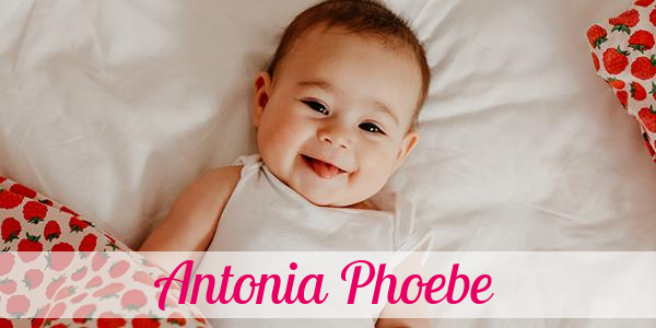 Namensbild von Antonia Phoebe auf vorname.com
