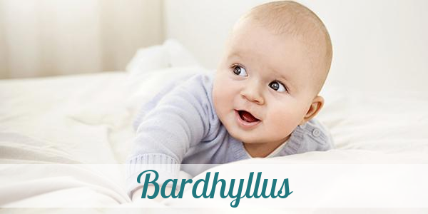 Namensbild von Bardhyllus auf vorname.com