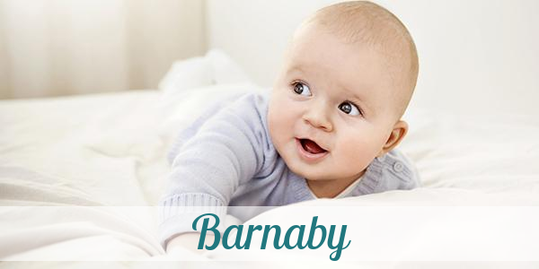 Namensbild von Barnaby auf vorname.com