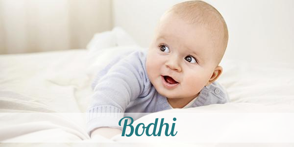 Namensbild von Bodhi auf vorname.com