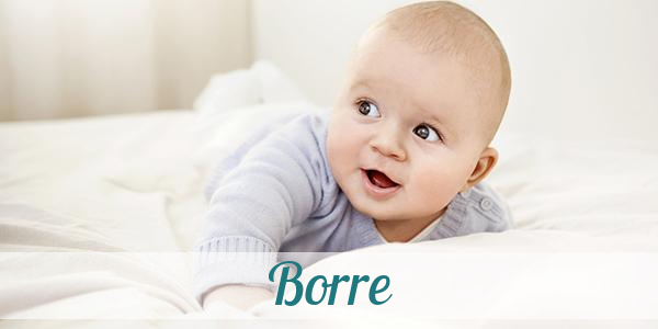 Namensbild von Borre auf vorname.com