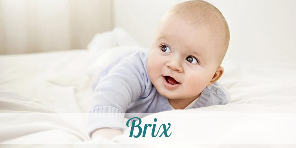 Namensbild von Brix auf vorname.com