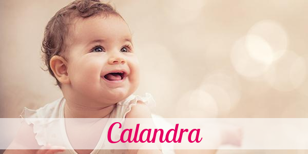 Namensbild von Calandra auf vorname.com