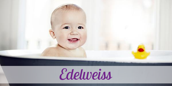 Namensbild von Edelweiss auf vorname.com