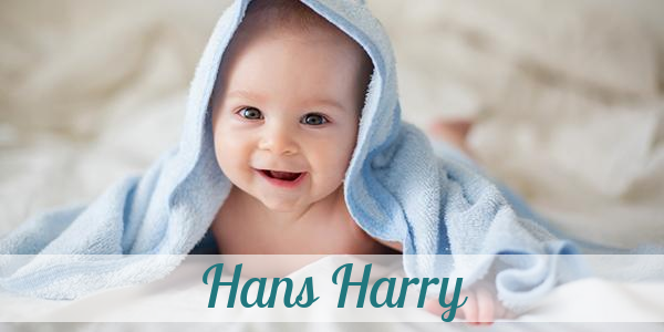 Namensbild von Hans Harry auf vorname.com