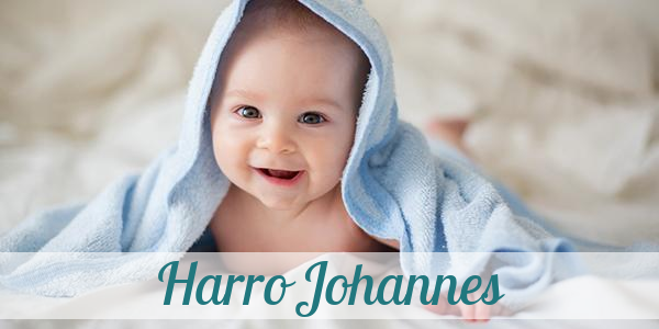Namensbild von Harro Johannes auf vorname.com