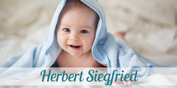 Namensbild von Herbert Siegfried auf vorname.com