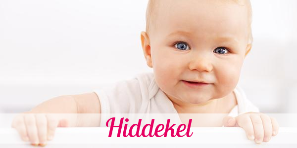 Namensbild von Hiddekel auf vorname.com
