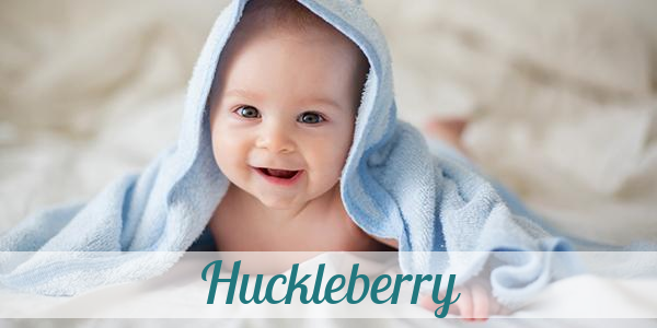 Namensbild von Huckleberry auf vorname.com