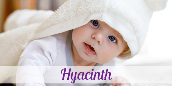 Namensbild von Hyacinth auf vorname.com