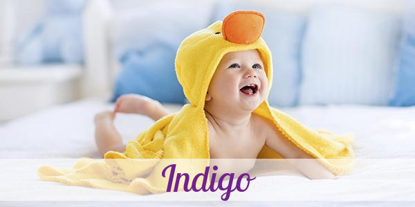 Namensbild von Indigo auf vorname.com