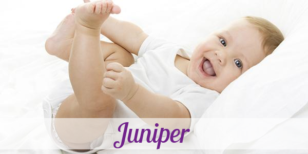 Namensbild von Juniper auf vorname.com