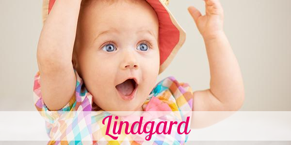 Namensbild von Lindgard auf vorname.com