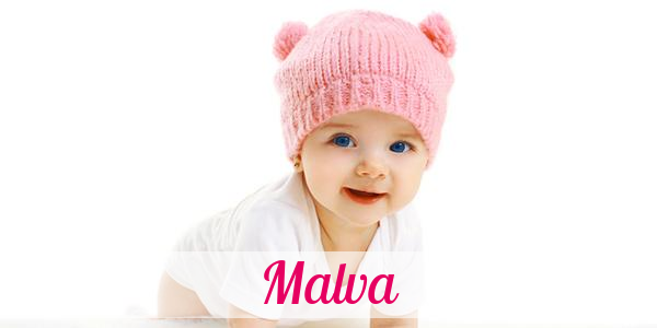 Namensbild von Malva auf vorname.com