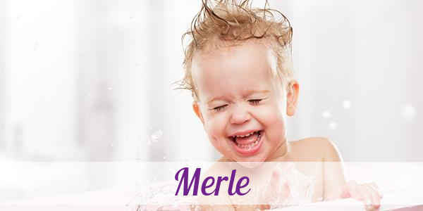 Namensbild von Merle auf vorname.com