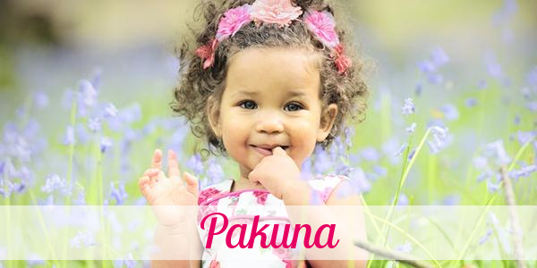 Namensbild von Pakuna auf vorname.com