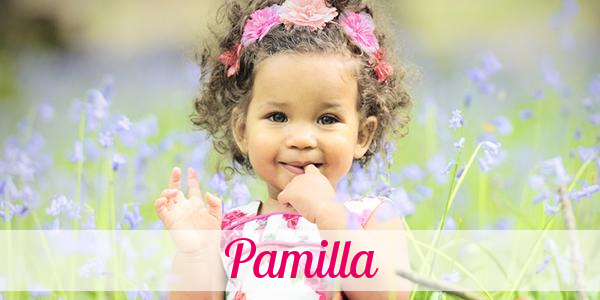 Namensbild von Pamilla auf vorname.com