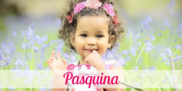 Namensbild von Pasquina auf vorname.com