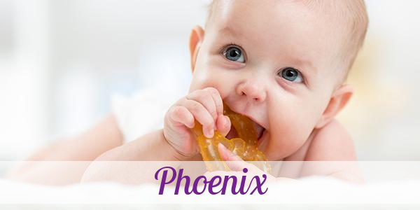 Namensbild von Phoenix auf vorname.com