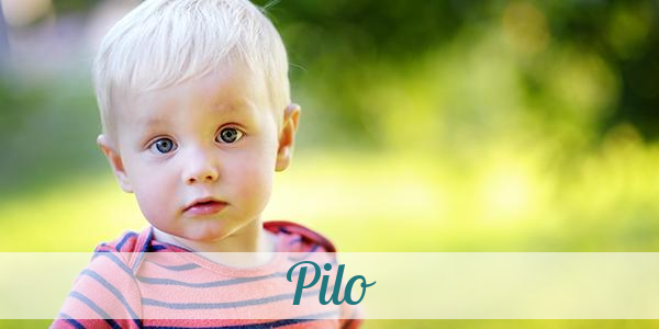Namensbild von Pilo auf vorname.com
