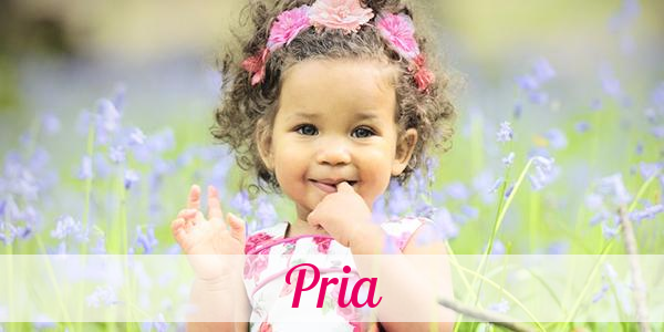 Namensbild von Pria auf vorname.com
