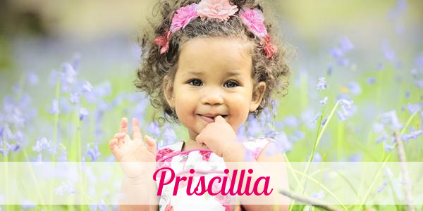 Namensbild von Priscillia auf vorname.com