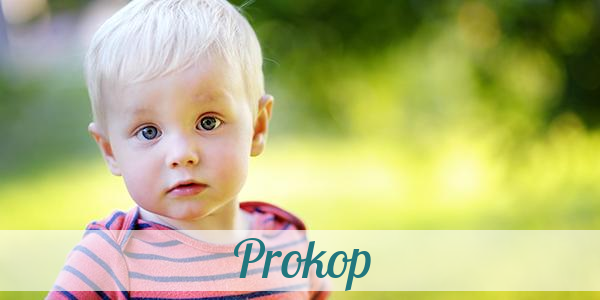 Namensbild von Prokop auf vorname.com
