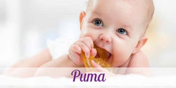 Namensbild von Puma auf vorname.com