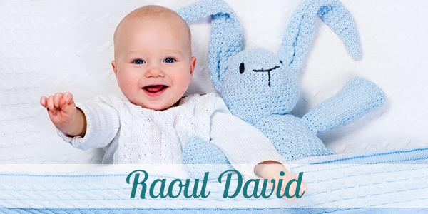 Namensbild von Raoul David auf vorname.com