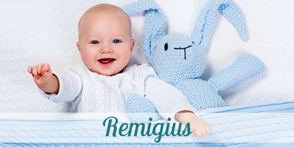 Namensbild von Remigius auf vorname.com