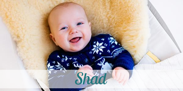 Namensbild von Shad auf vorname.com