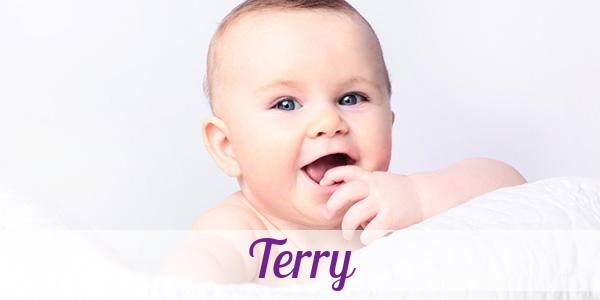 Namensbild von Terry auf vorname.com