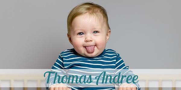 Namensbild von Thomas Andree auf vorname.com