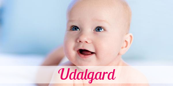 Namensbild von Udalgard auf vorname.com