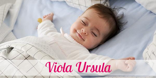 Namensbild von Viola Ursula auf vorname.com
