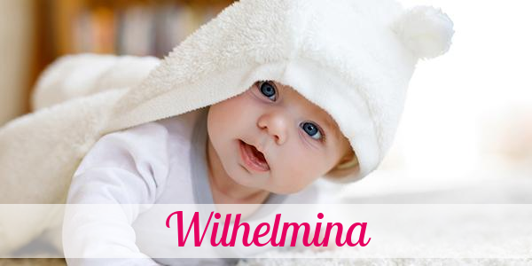 Namensbild von Wilhelmina auf vorname.com