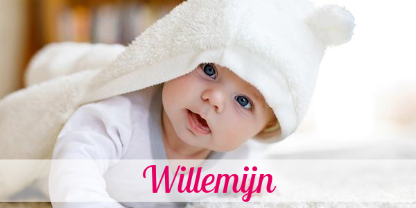 Namensbild von Willemijn auf vorname.com