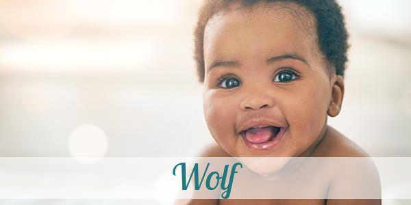 Namensbild von Wolf auf vorname.com