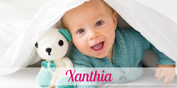Namensbild von Xanthia auf vorname.com