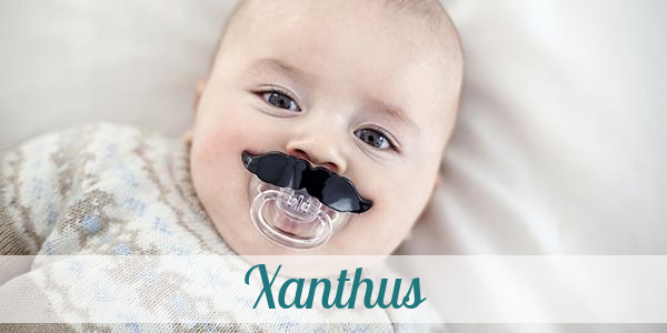 Namensbild von Xanthus auf vorname.com
