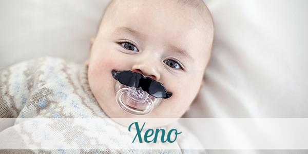 Namensbild von Xeno auf vorname.com