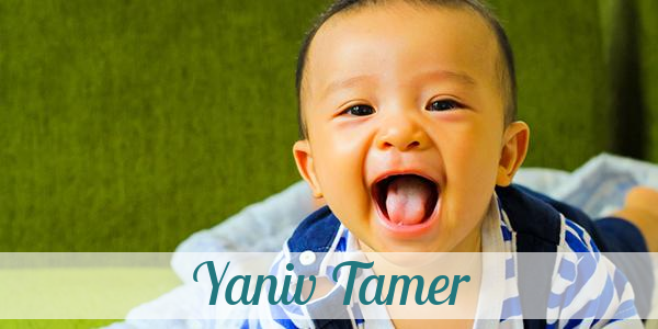 Namensbild von Yaniv Tamer auf vorname.com