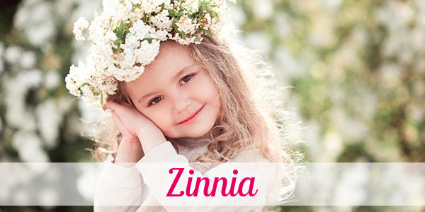 Namensbild von Zinnia auf vorname.com